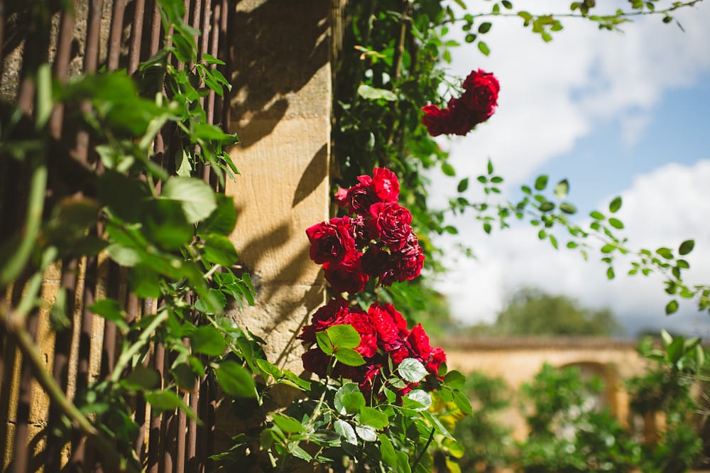 wedding photographer Dordogne