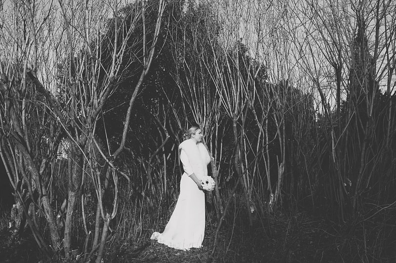 wedding photographer Nonsuch Mansion