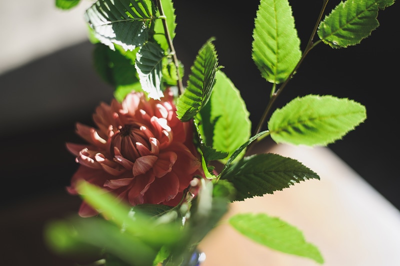 Wedding photographer London