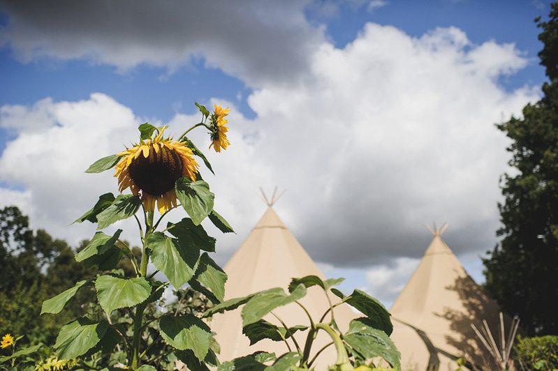 wedding-festival-photographer